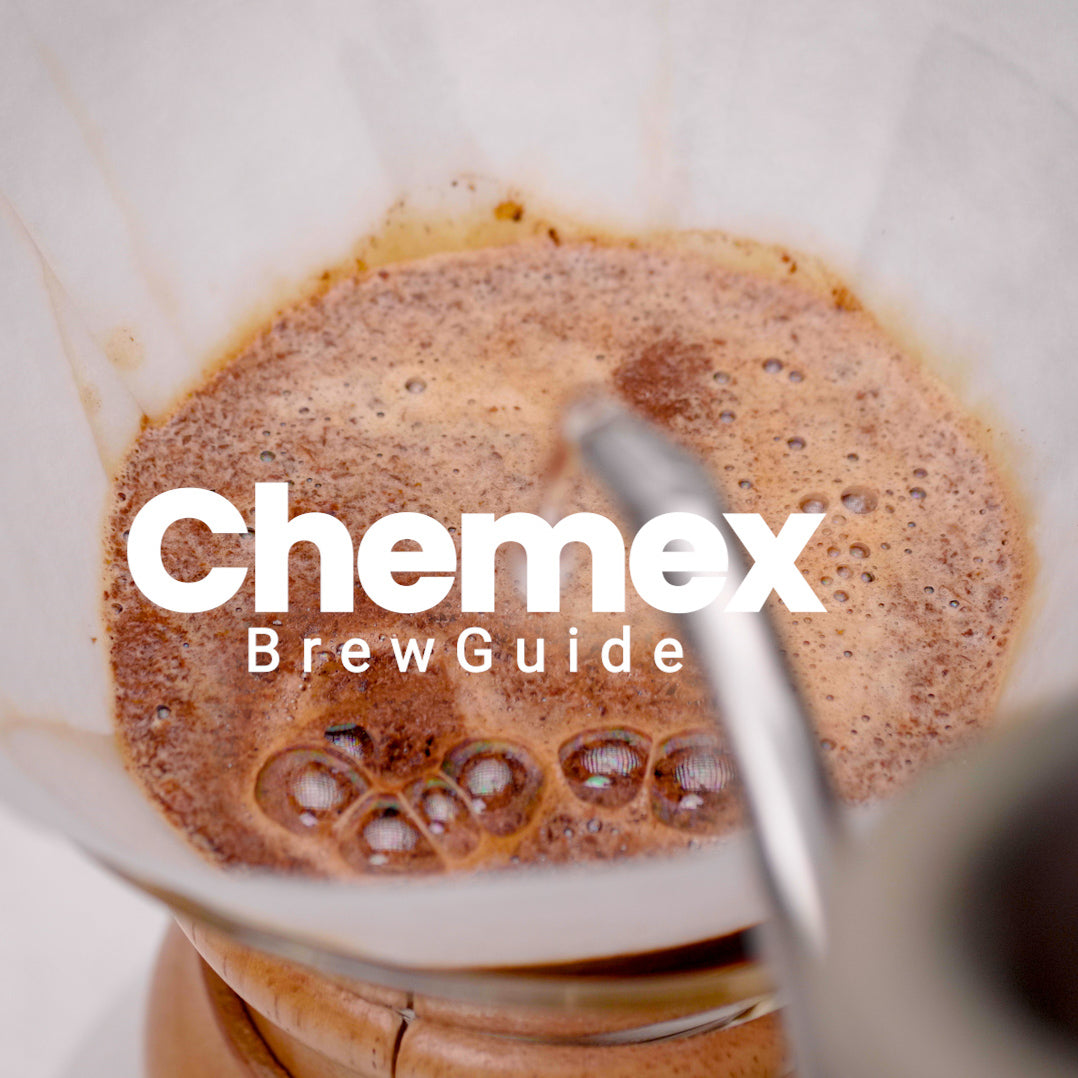 Chemex Bryggeguide