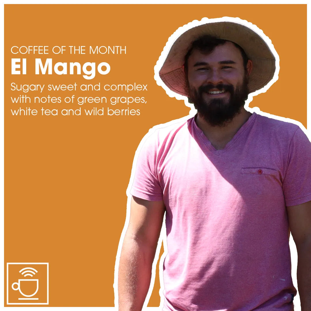 El Mango
