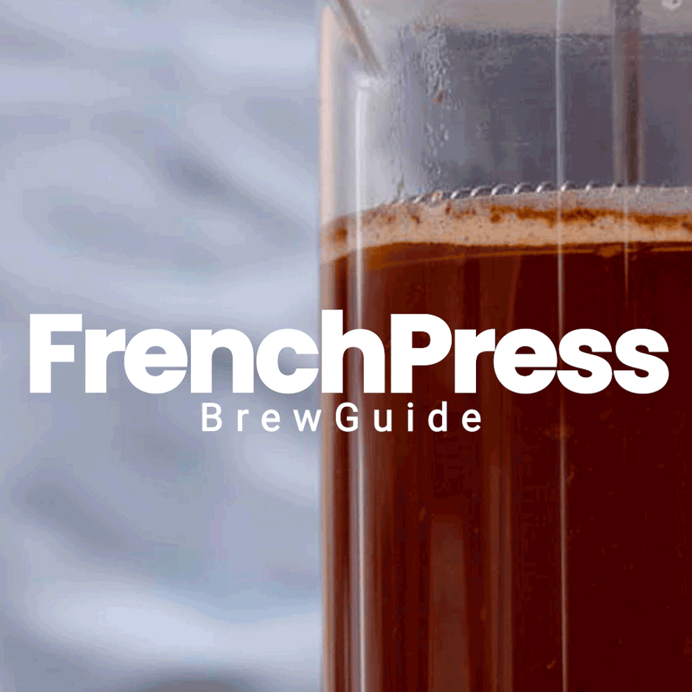French Press bryggeguide
