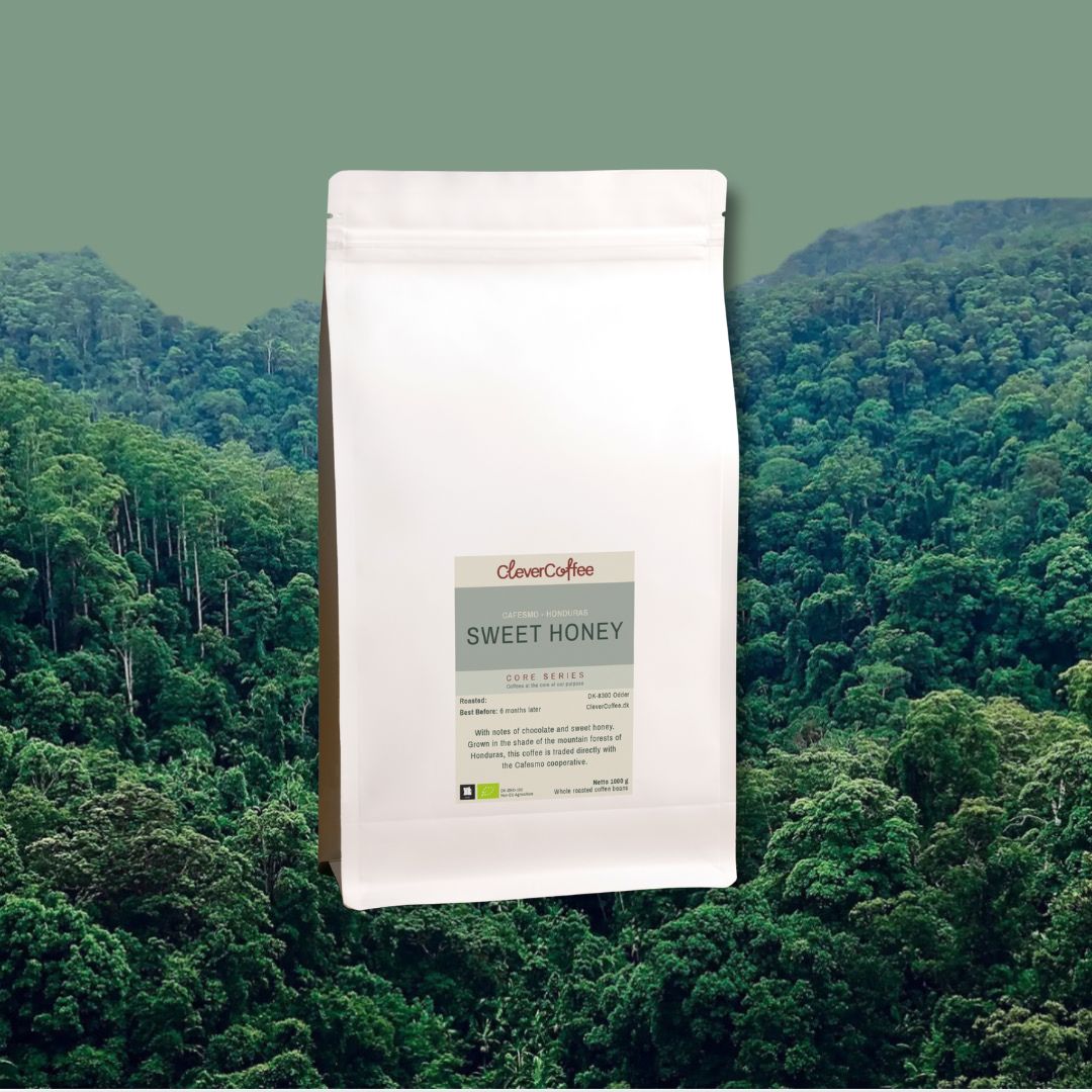 Sammen planter vi en skov i Honduras