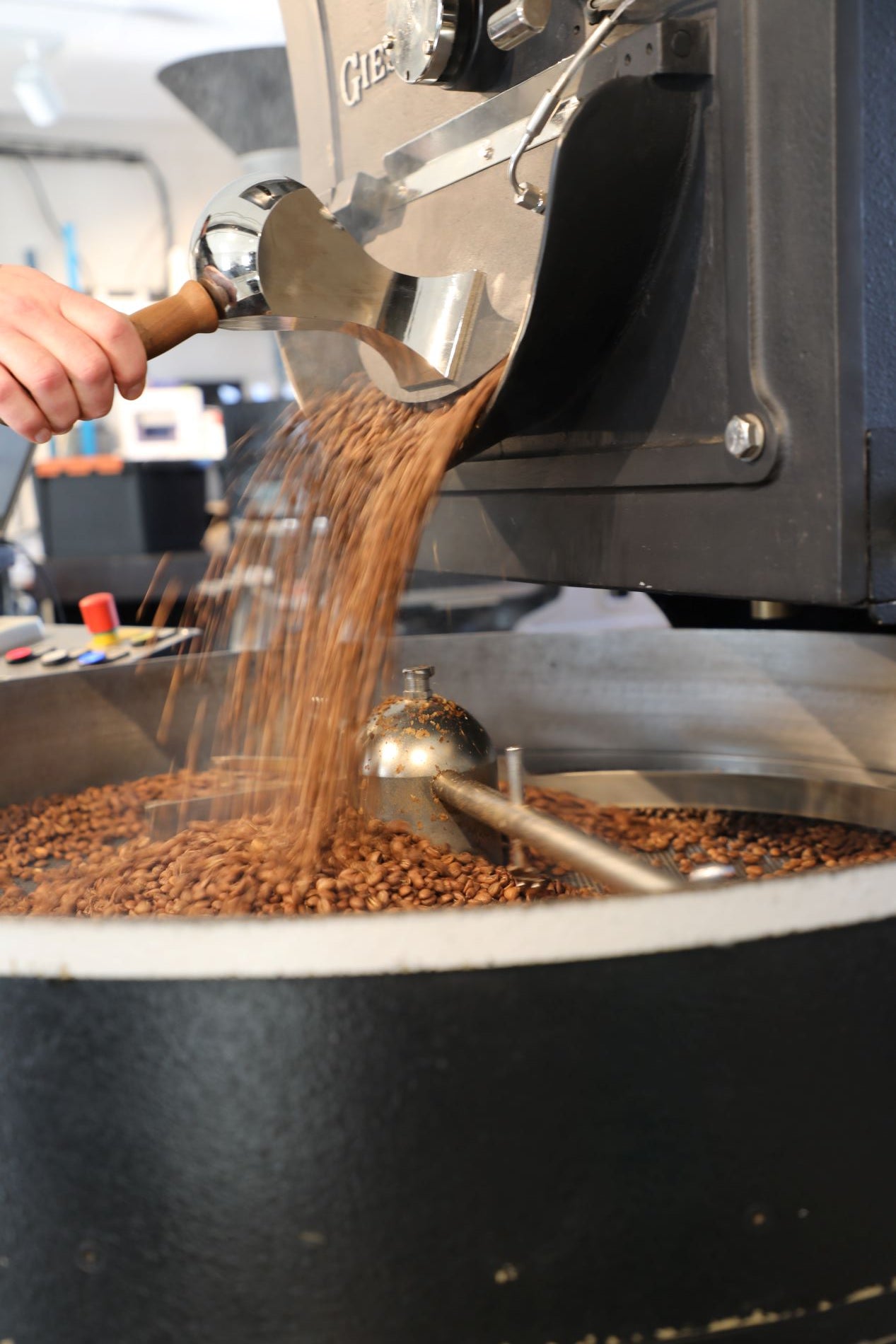 lysristede kaffebønner i risteren