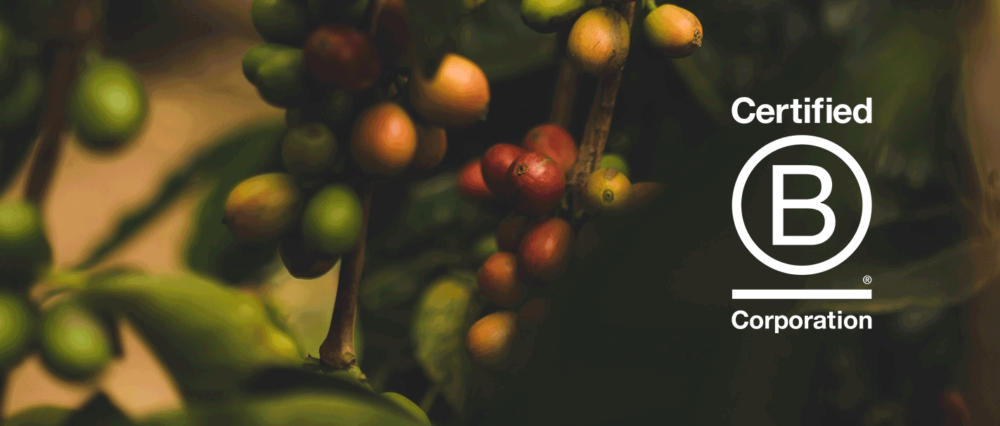 B Corp banner