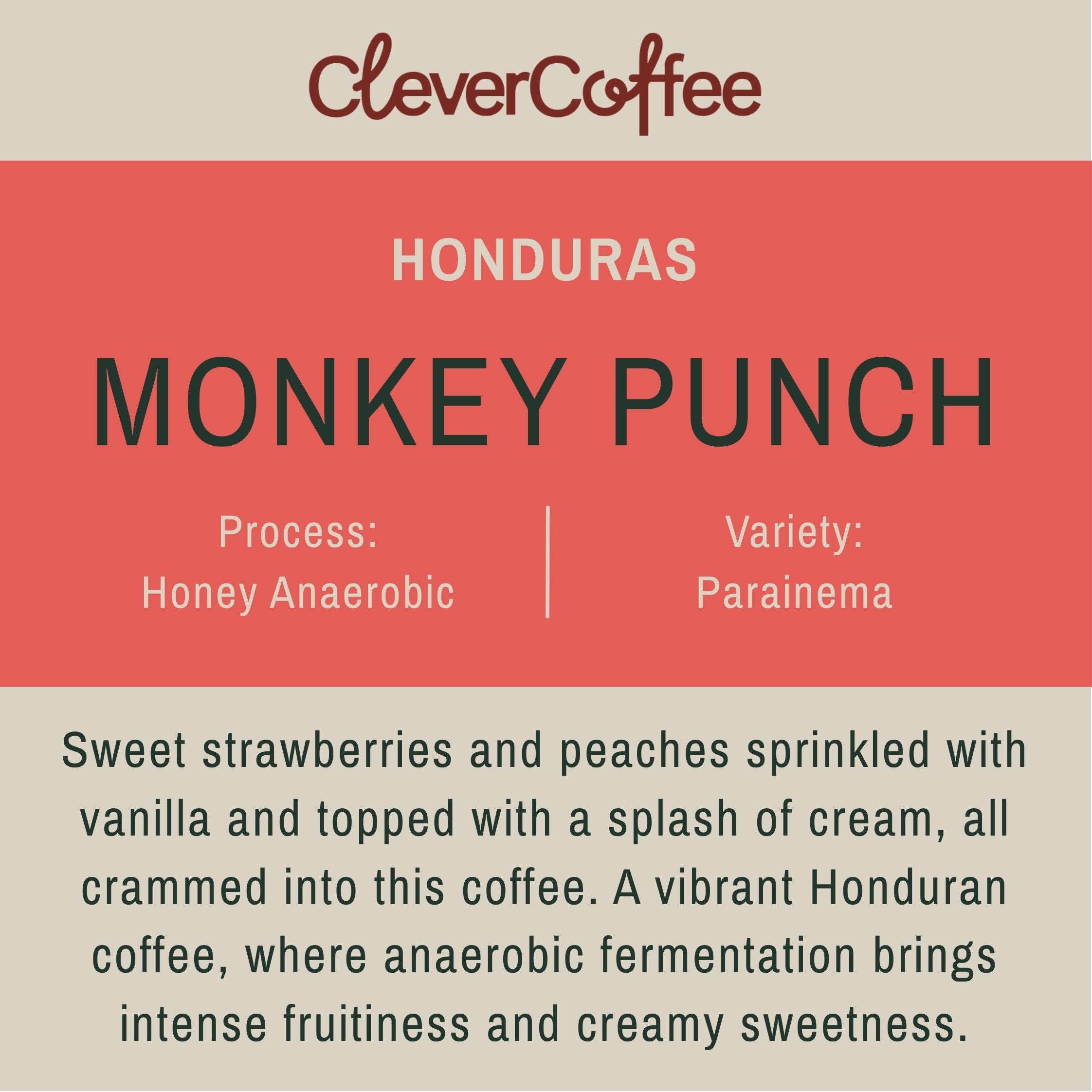 Monkey Punch - Honduras