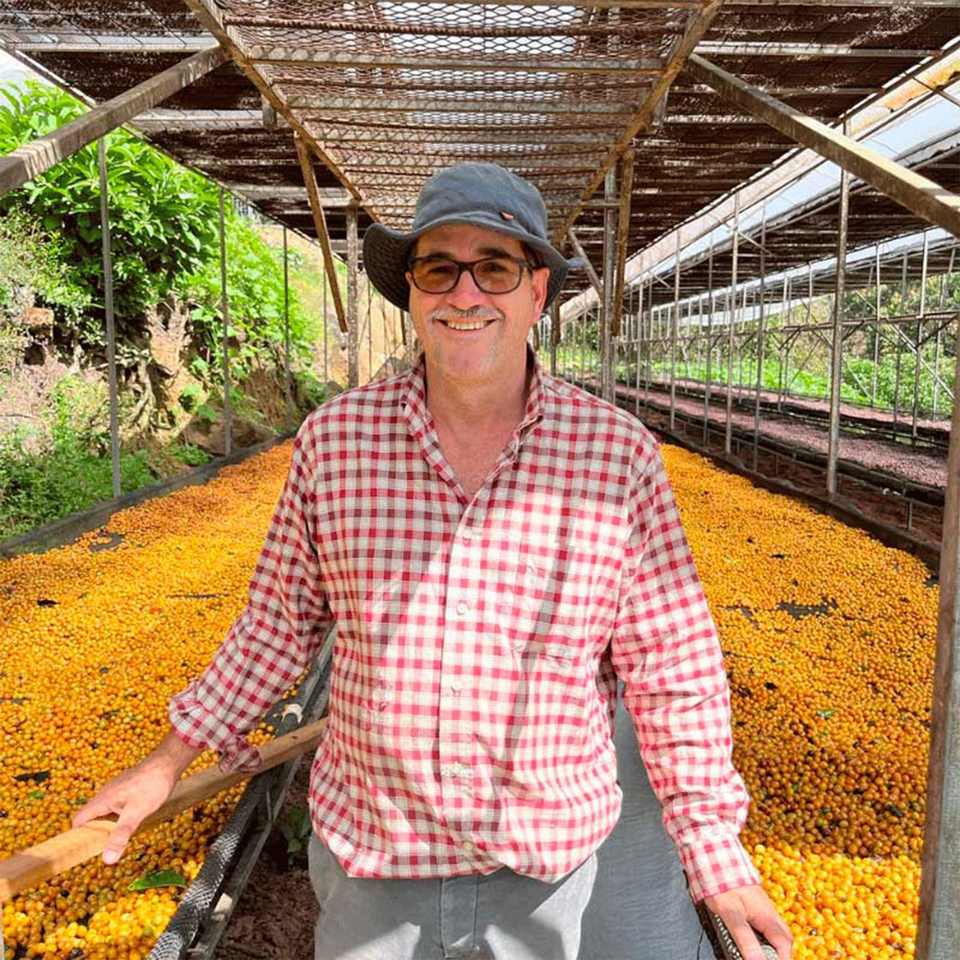 kaffefarmer blandt kaffe til tørre