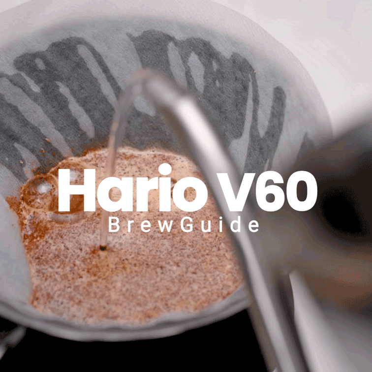 Hario V60 bryggeguide