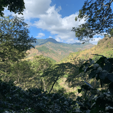 Billede af natur med bjerge i Honduras.