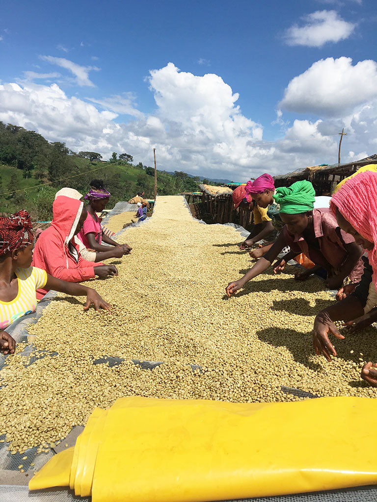 Kayon Mountain - Etiopien