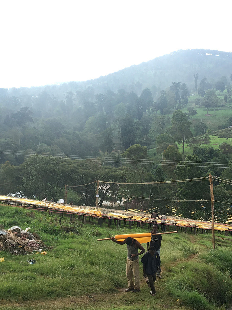 Kayon Mountain - Etiopien