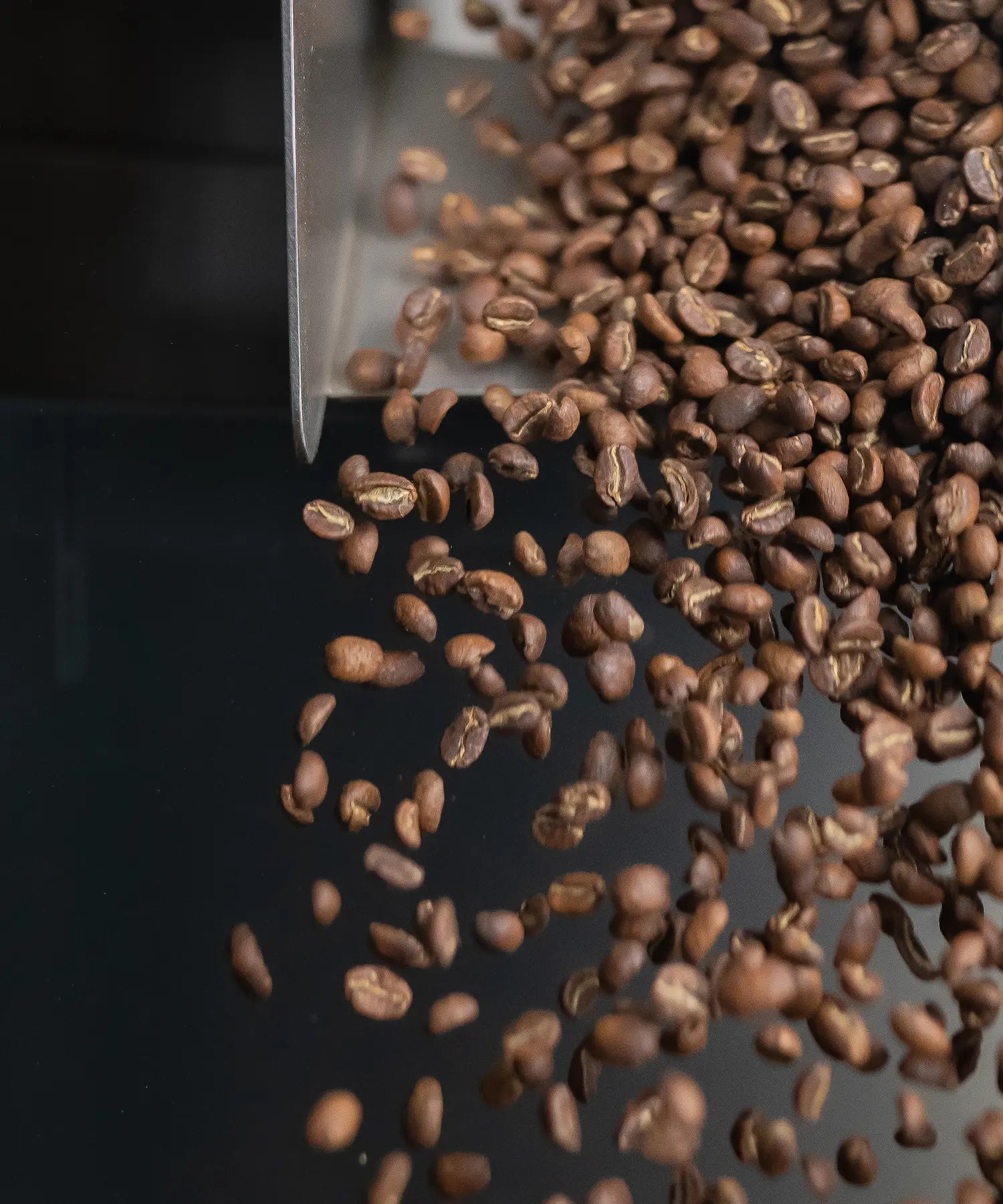 lysristet kaffe frisk fra risteren