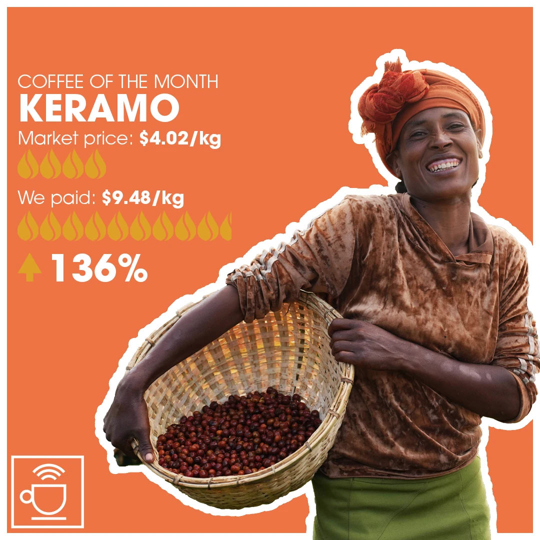 Infolabel af kaffen Keramo fra Ethiopien med sammenligning af, hvad vi har betalt og FOB prisen.