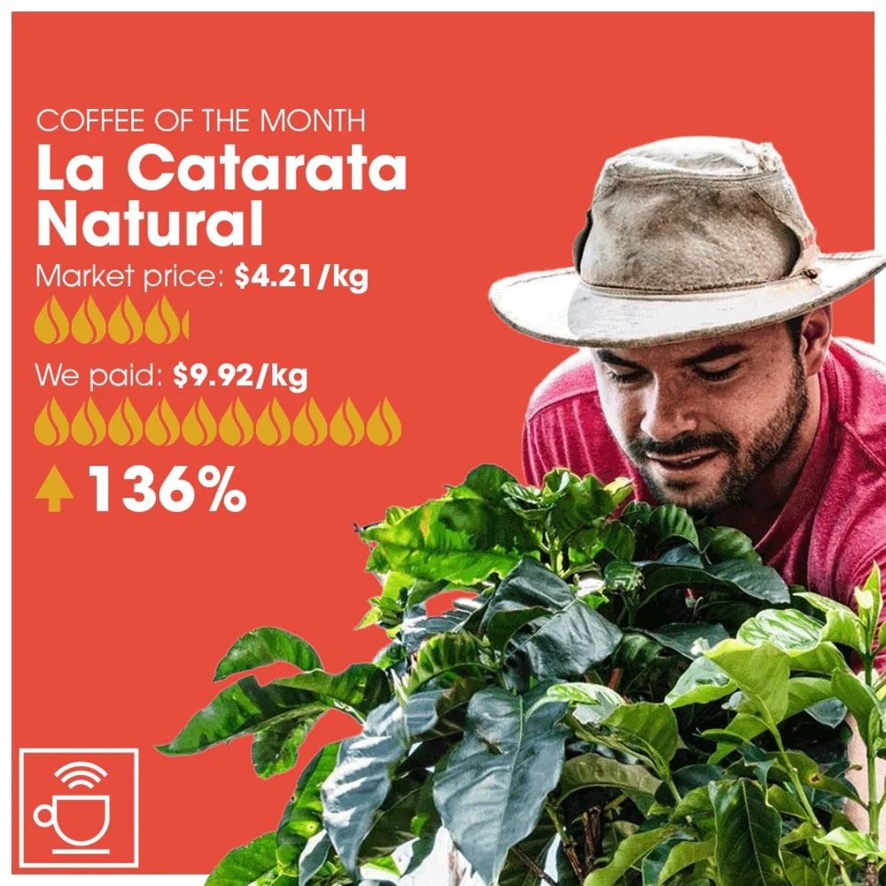 La Catarata Natural "Market price: $4.21/kg - We paid: $9.92/kg. Increase in 136%"