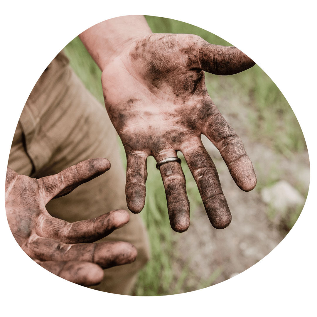 Billede af beskidte hænder som illustration på begrebet "land grabbing".