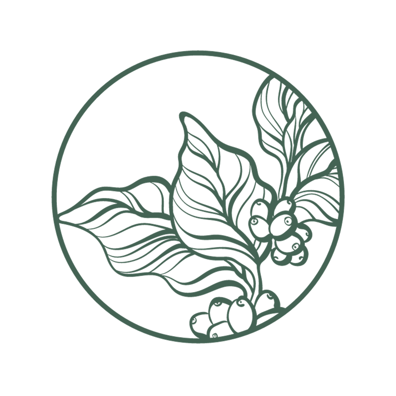 Grøn cirkel med tegnet kaffeplante med bær indeni på hvid baggrund. Illustration til begrebet "land grabbing".