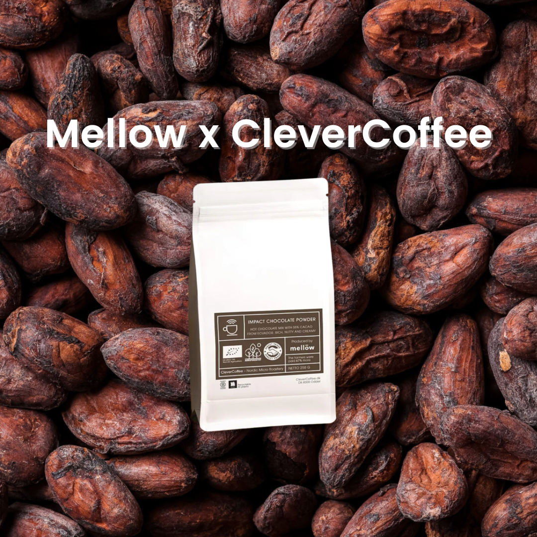 Tekst med 'Mellow x CleverCoffee', kakaobønner og pose med IMPACT kakaopulver