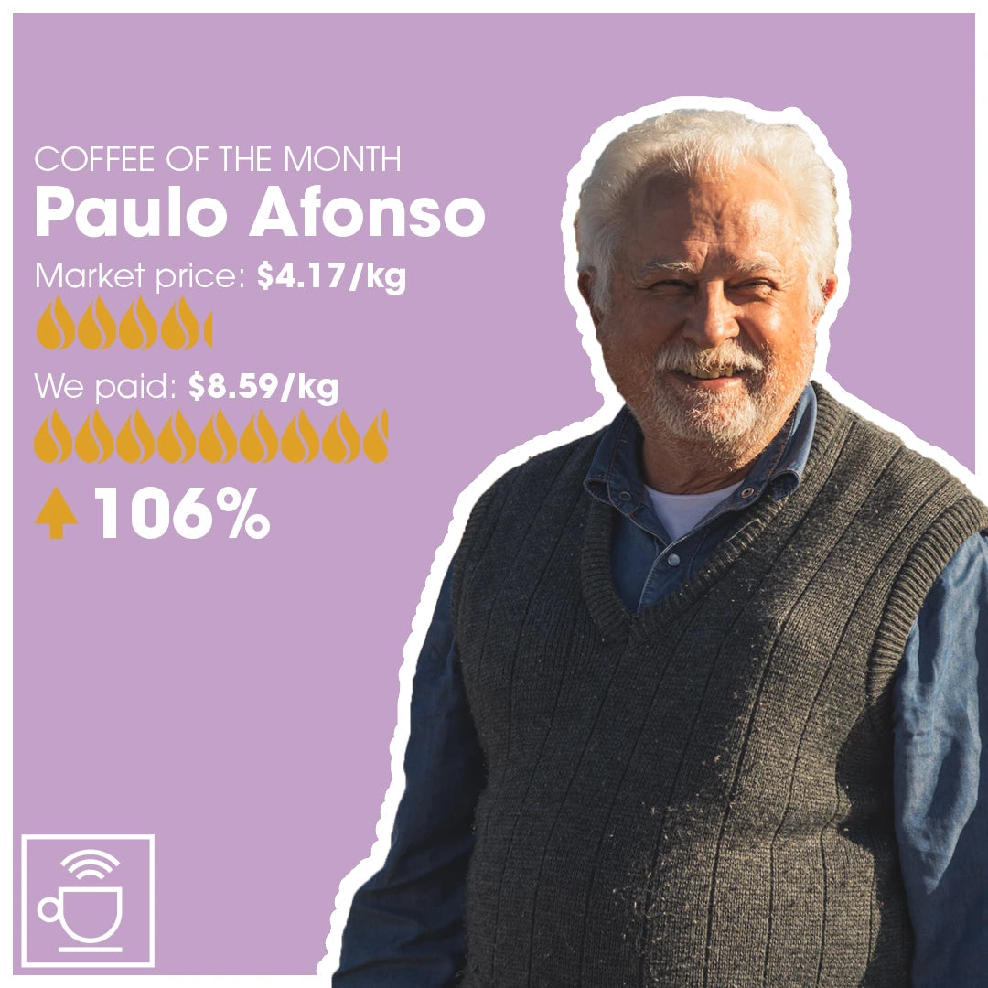 Infolabel for kaffen Paulo Afonso med sammenligning af, hvad vi har betalt og FOB prisen.