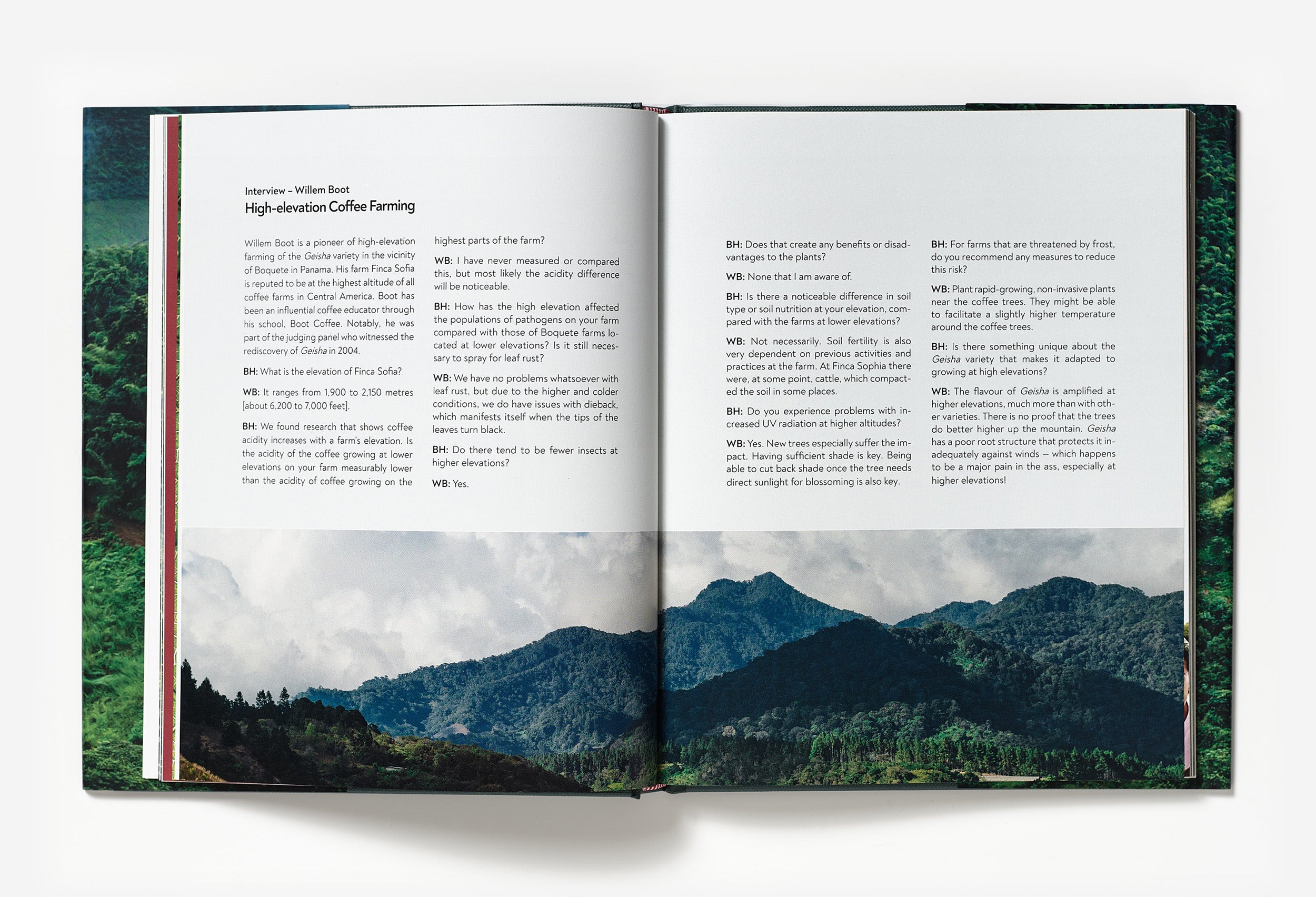 Terroir – Coffee From Seed to Harvest