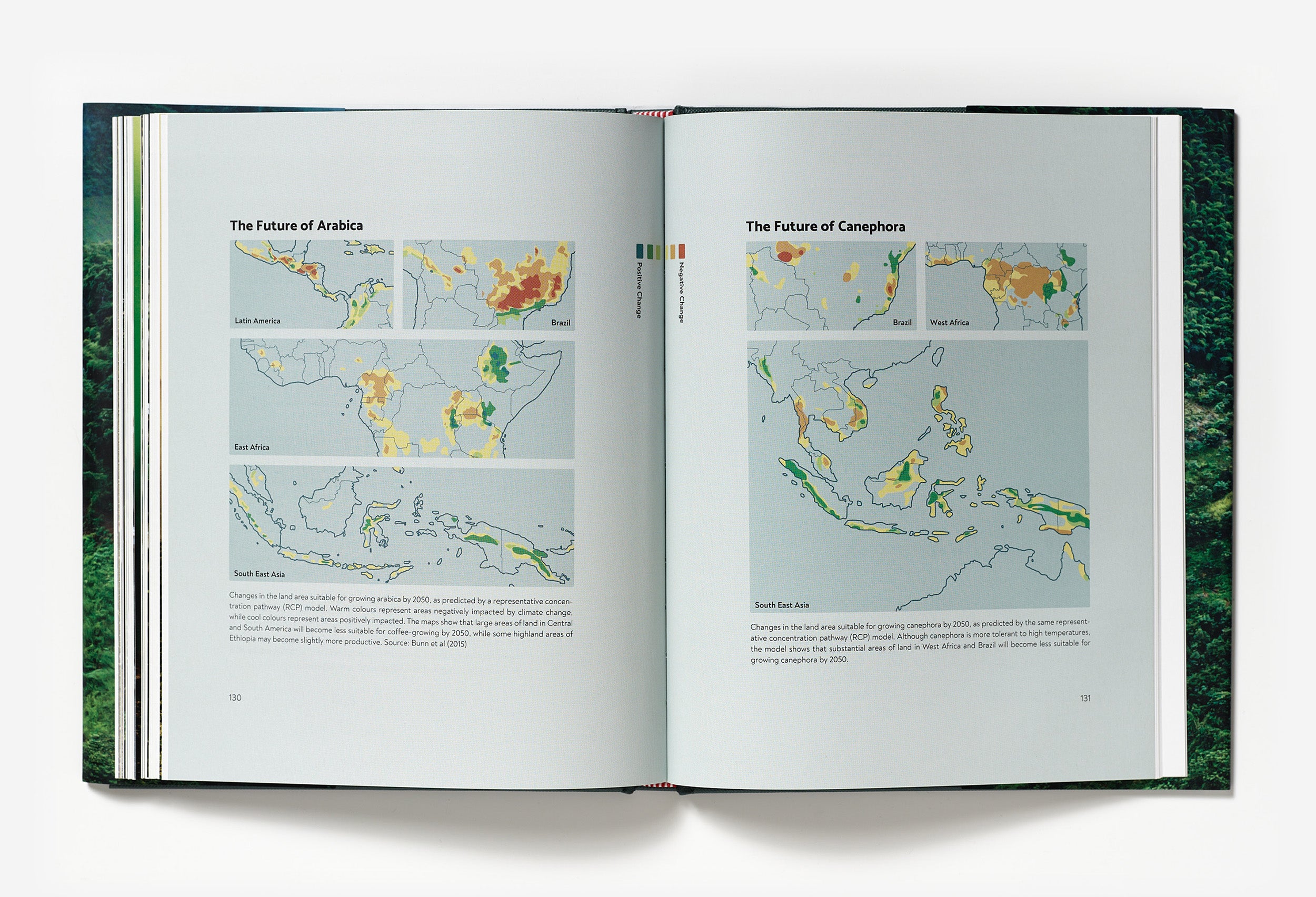 Terroir – Coffee From Seed to Harvest
