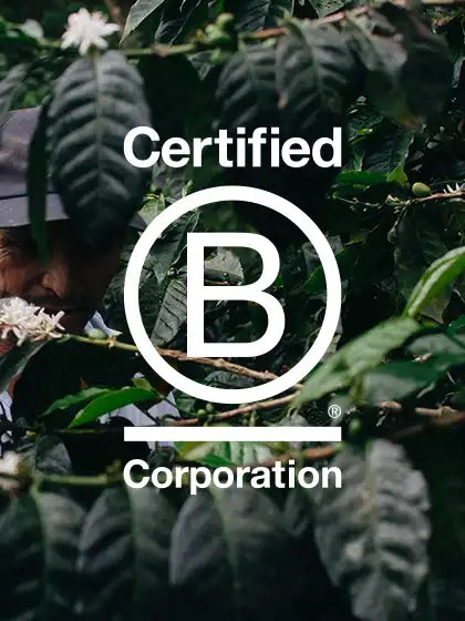 B corp logo