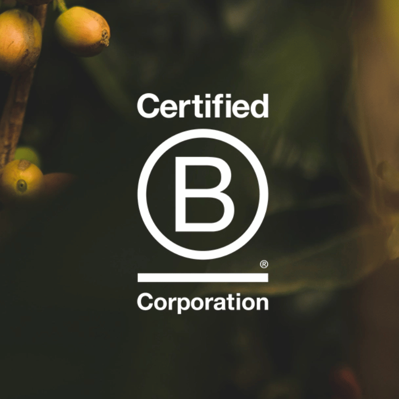 b corp logo