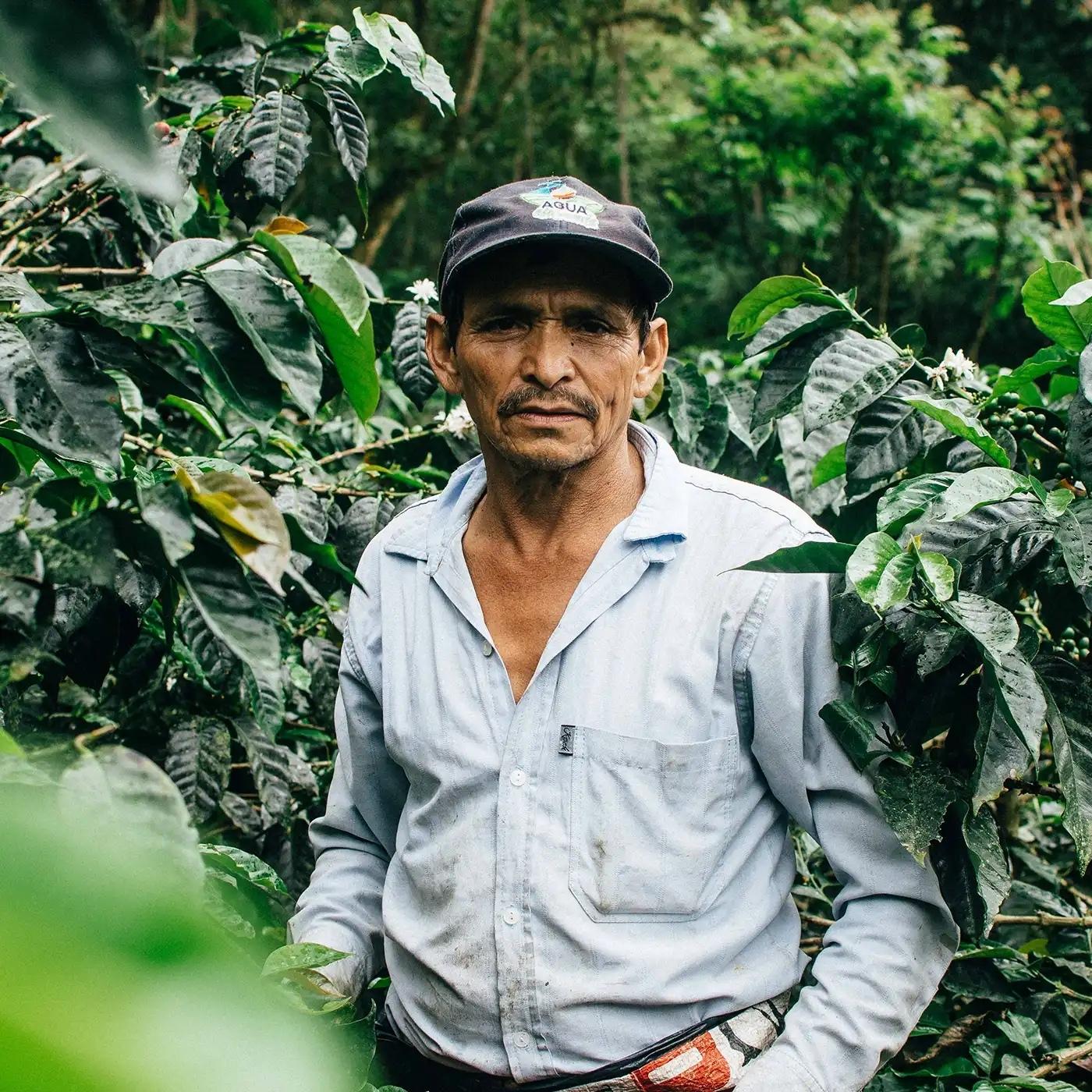 Misionesfarmer