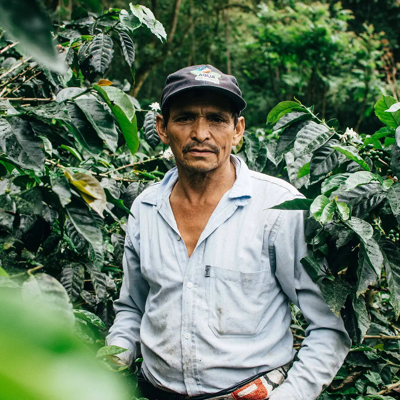 Misionesfarmer