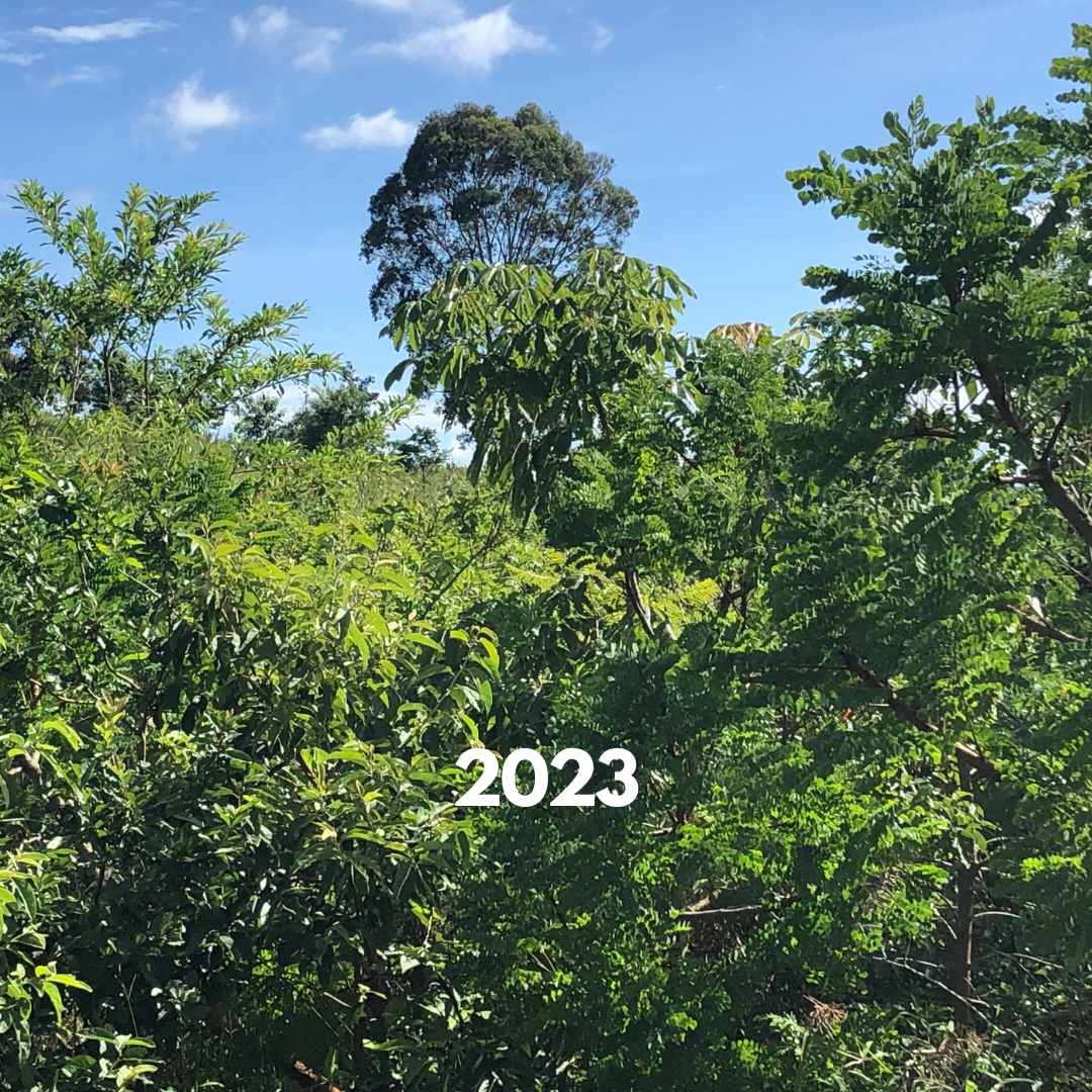 landskab 2023