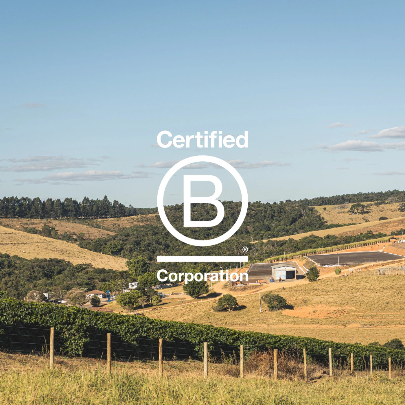 kaffelandskab med B Corp logo