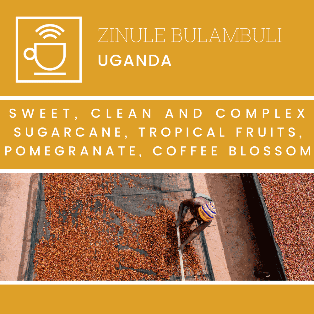 kaffelabel zinule bulambuli, uganda, sød, clean og kompleks, rørsukker, tropiske frugter, granatæble, kaffeblomst, kaffefarmer der tørrer kaffebær