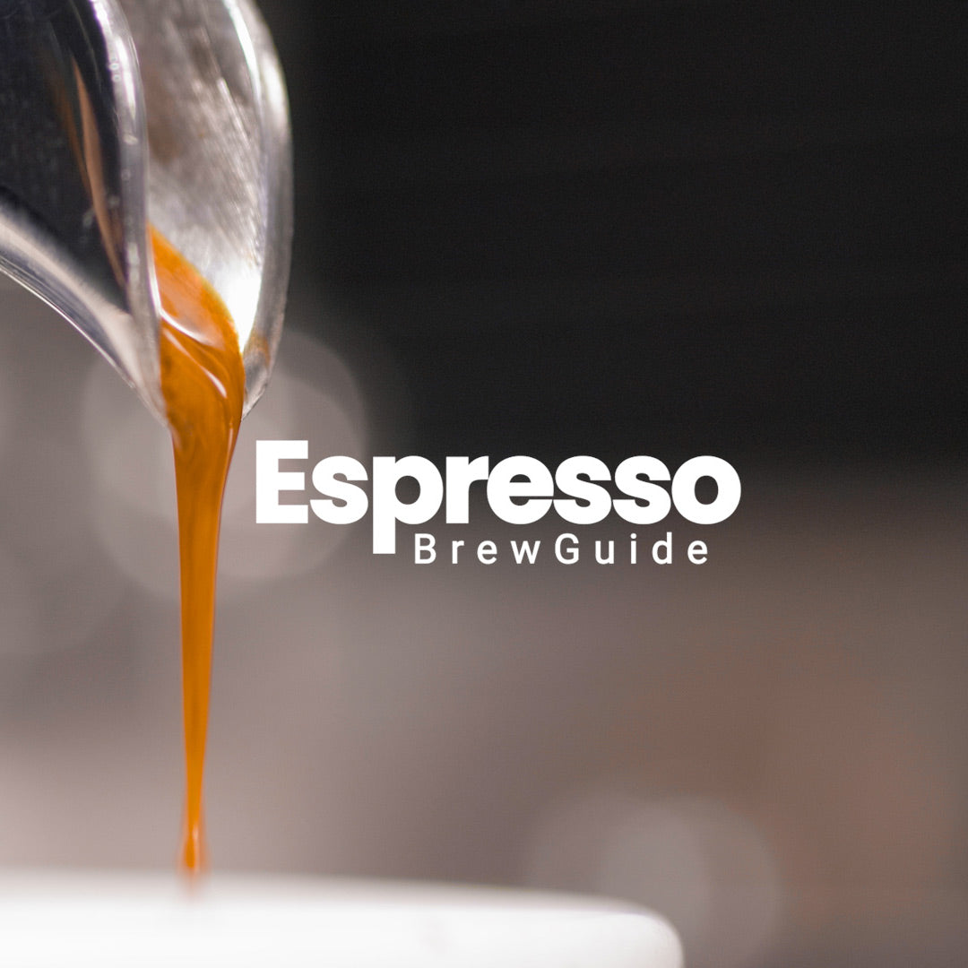 Espresso bryggeguide