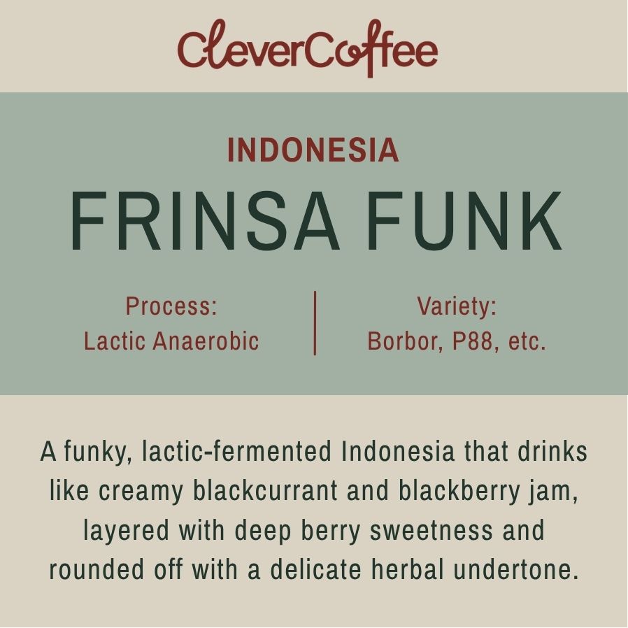Frinsa Funk - Indonesien