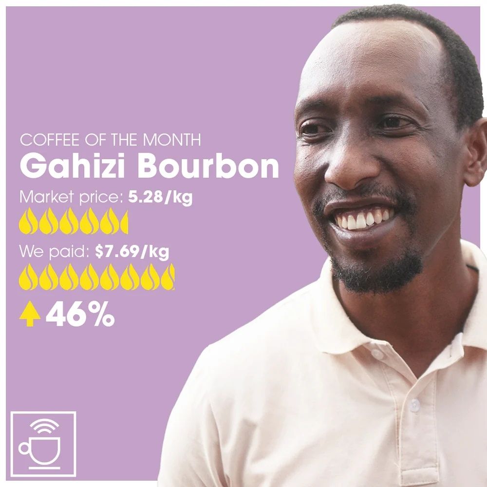 Gahizi Bourbon - Rwanda