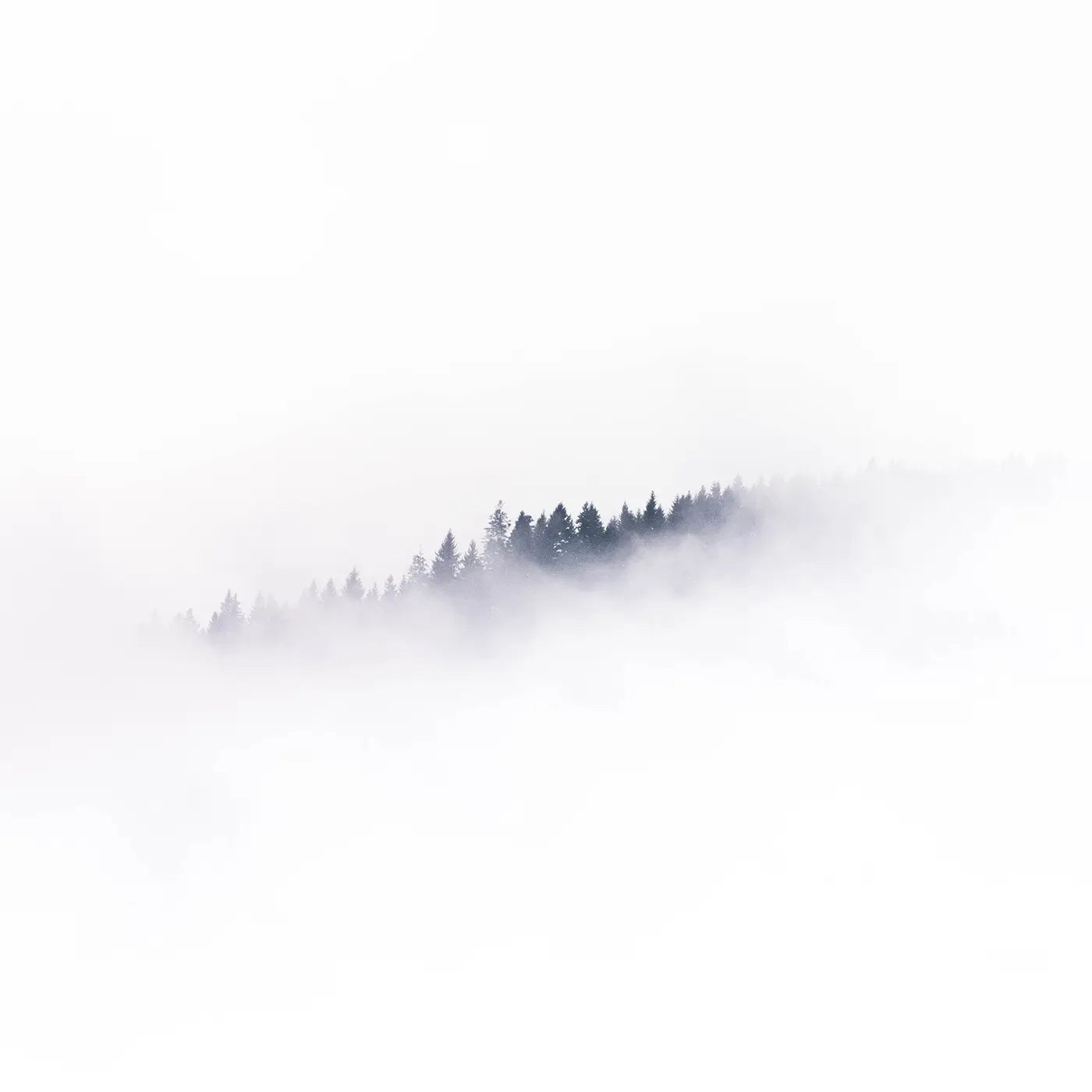 illustration af tåget skov 