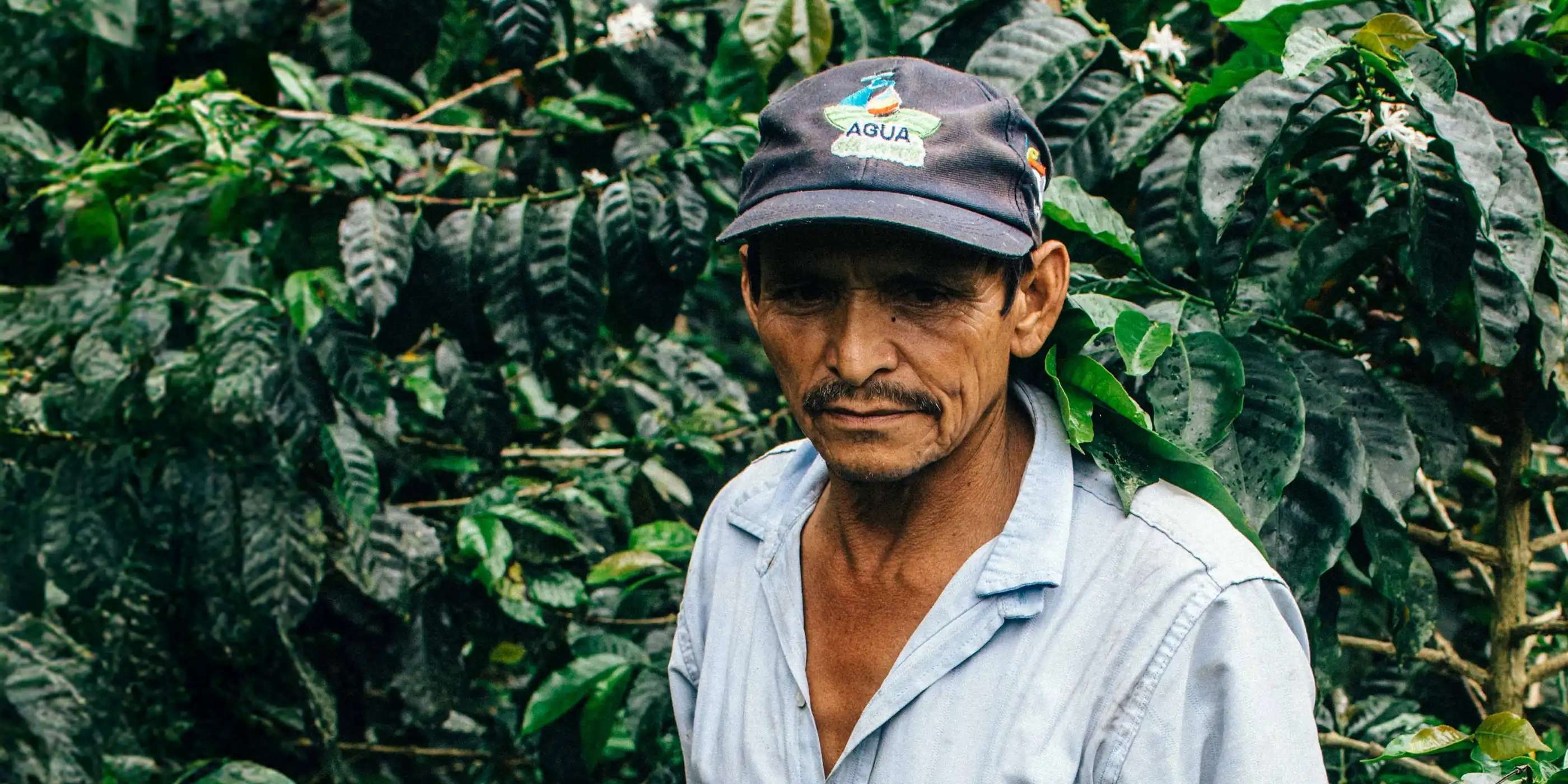 Kaffefarmer