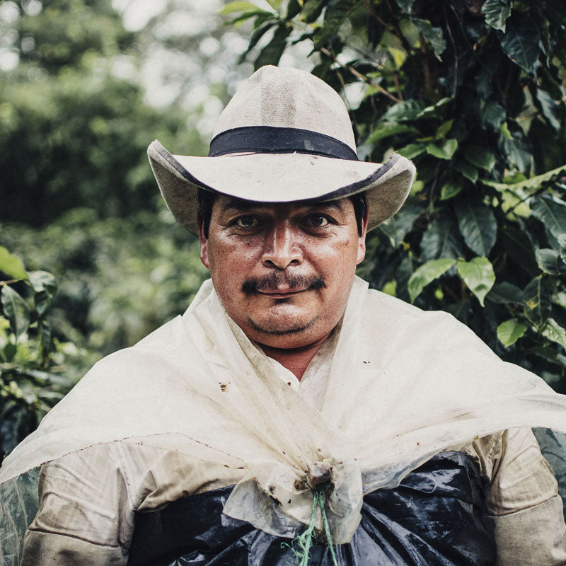 kaffefarmer i colombia 