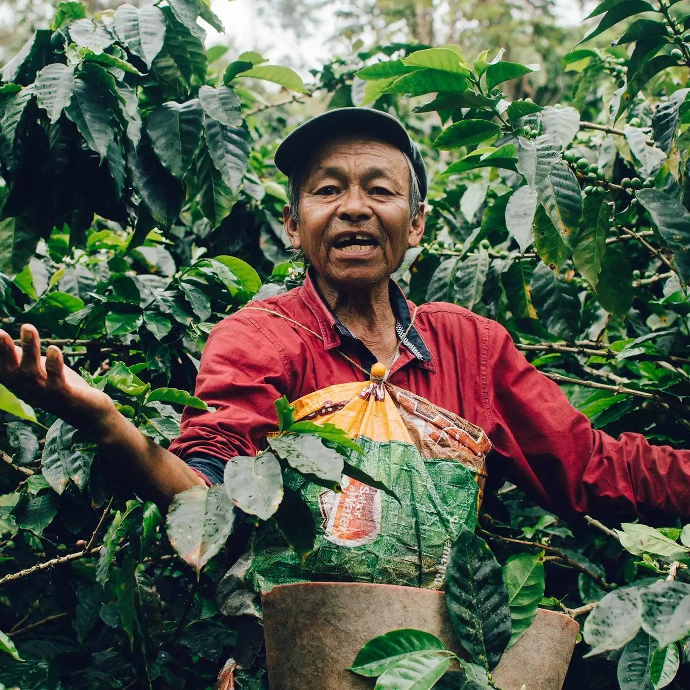 Misionesfarmer