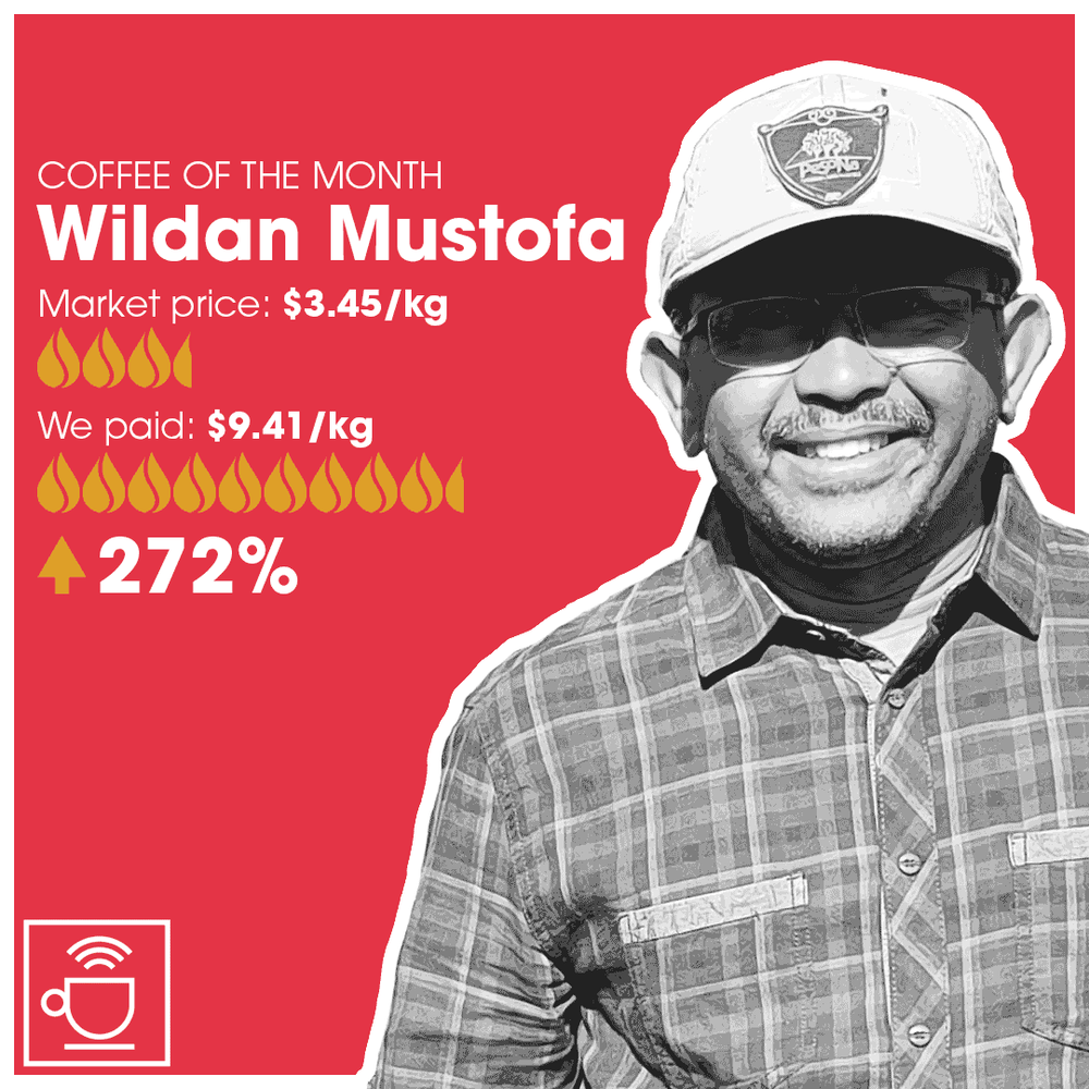 Wildan Mustofa - Indonesien